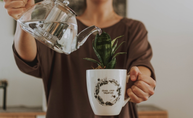 Ready to watch your gardening business bloom