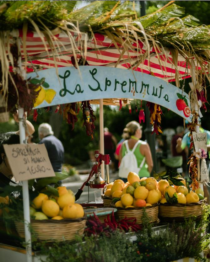 Dive into the colorful world of harvest festivals