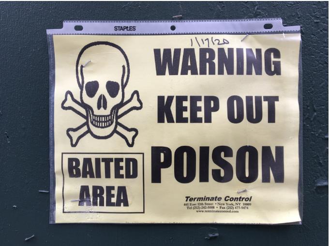 Diving deep into the world of research safety