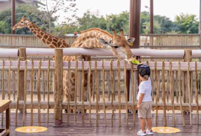 Make your next family outing unforgettable with customized keepsakes from zoos and aquarium