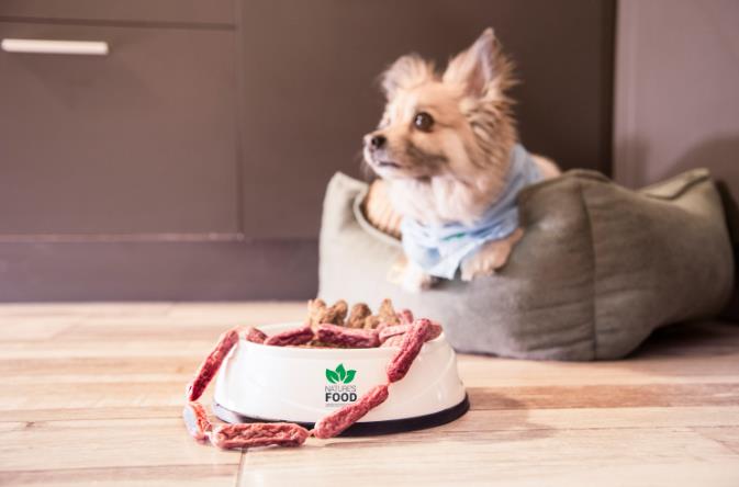 Unleash your dog walking service's potential with custom pet accessories