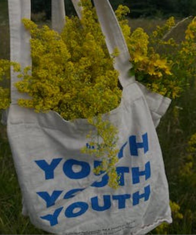 Customers often find themselves purchasing more plants than they planned for. Providing them with custom reusable bags wholesale solves their problem and subtly promotes your brand.