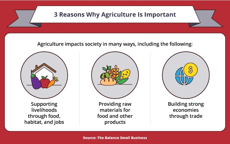 Transform your farm this spring