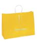 Custom Glossy Retail Bags Shopping Tote Paper Gift Bag 