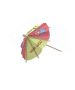 Custom Promotional Custom Party Paper Wooden Picks Toothpick Cocktail Umbrellas For Drink
