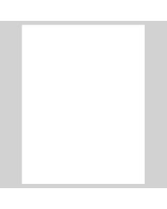 Custom Single Page Menus