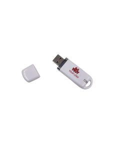 Custom Logo Promotional Thumb Drive USB Flash Drive Memory Stick