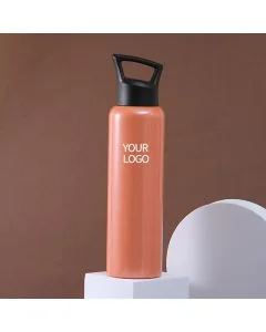 Custom BPA-free Double Wall Stainless Steel Thermos Customized Drinking Bottles Flask