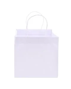 Custom Kraft Paper Bag Grocery Bags Shopping Retail Tote