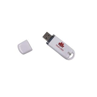 Custom Logo Promotional Thumb Drive USB Flash Drive Memory Stick