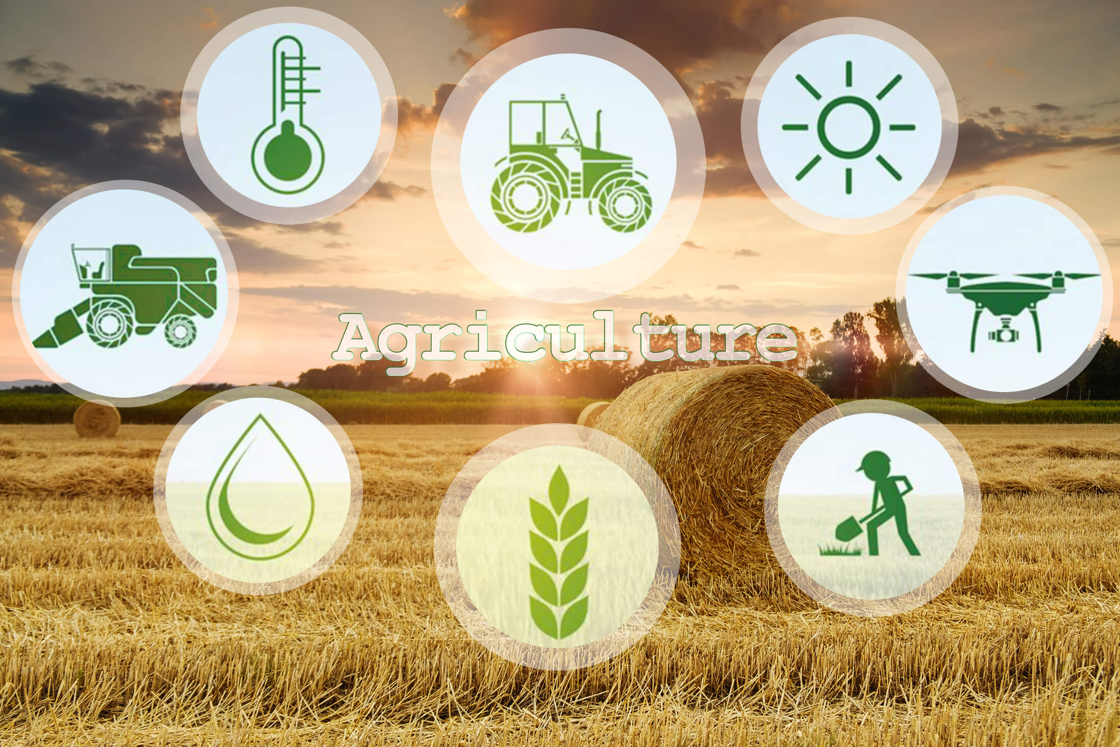 How to use custom products to grow your business in the agricultural industry